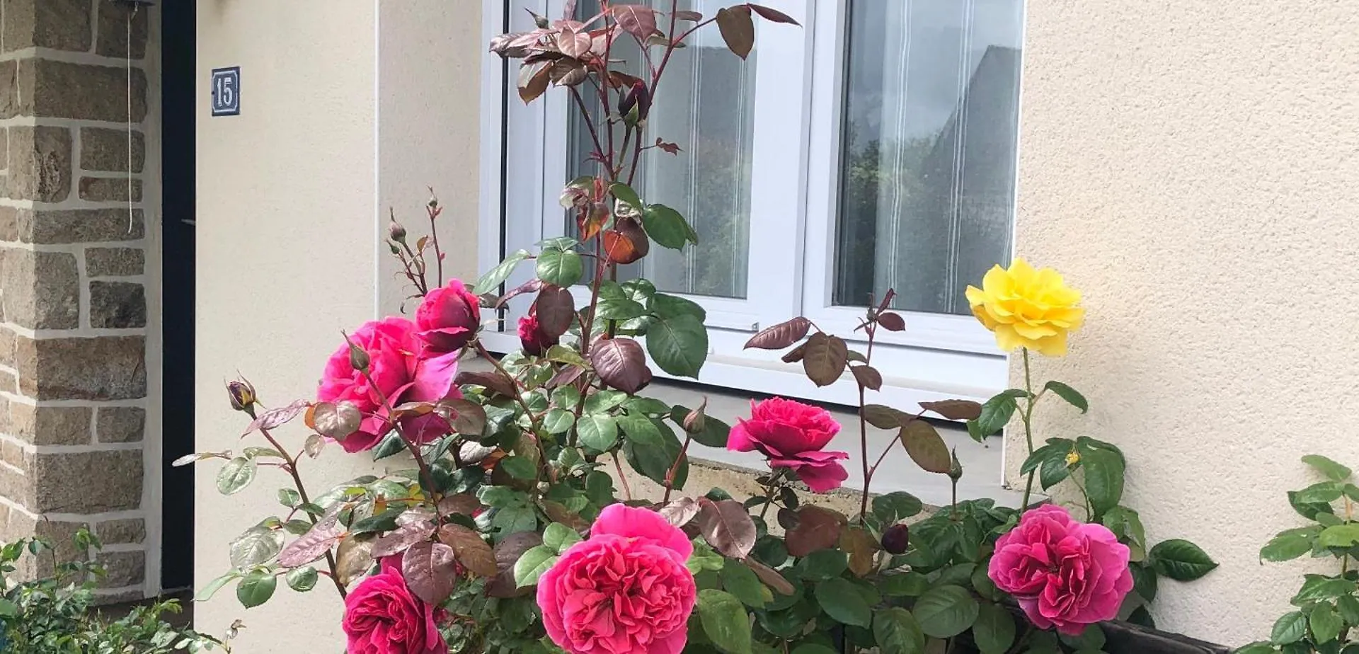 Chambre Chez L'Habitant 